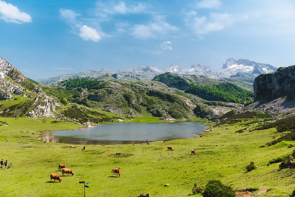 Lagos de Covadonga