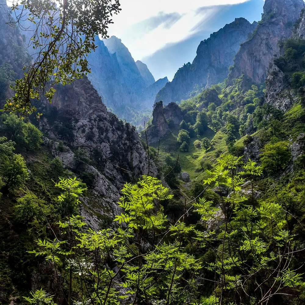 Peñas en Picos de Europa