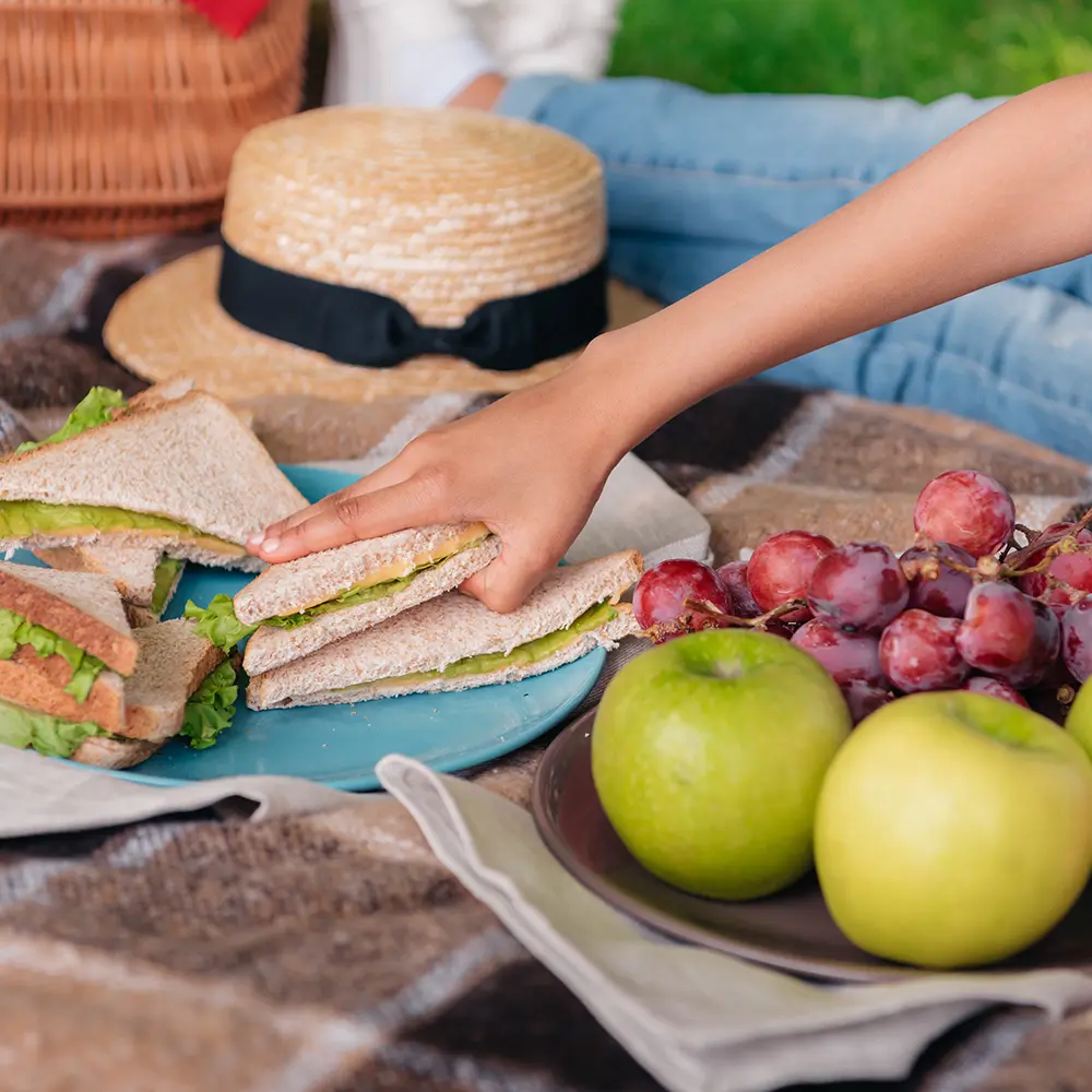 Promociones Las Dos Peñas Niserias bolsa de picnic